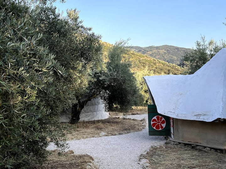 غرفة النوم 5