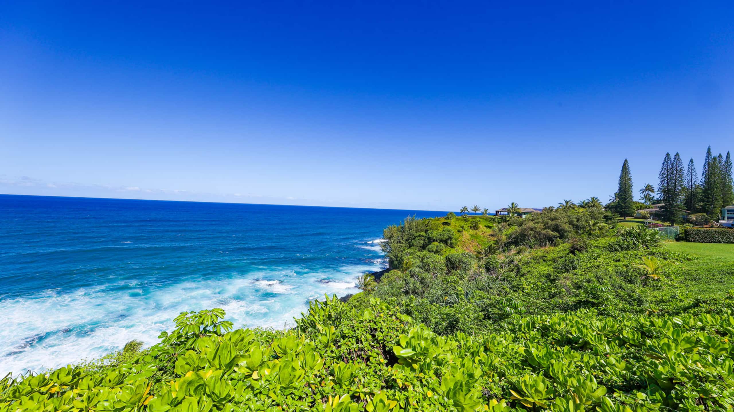 Romantic Island Condo *Jungle Views - Image 34