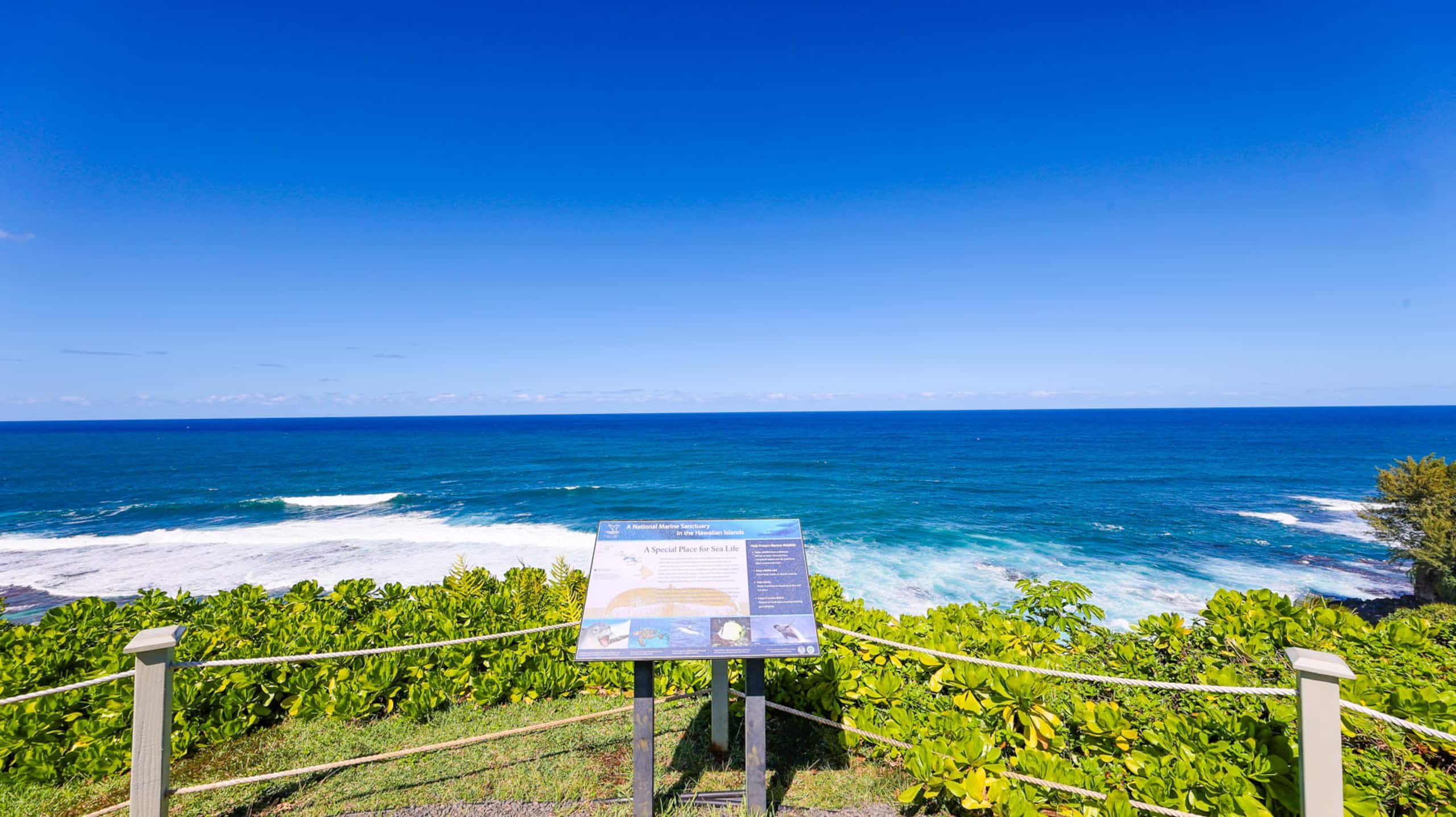 Romantic Island Condo *Jungle Views - Image 35