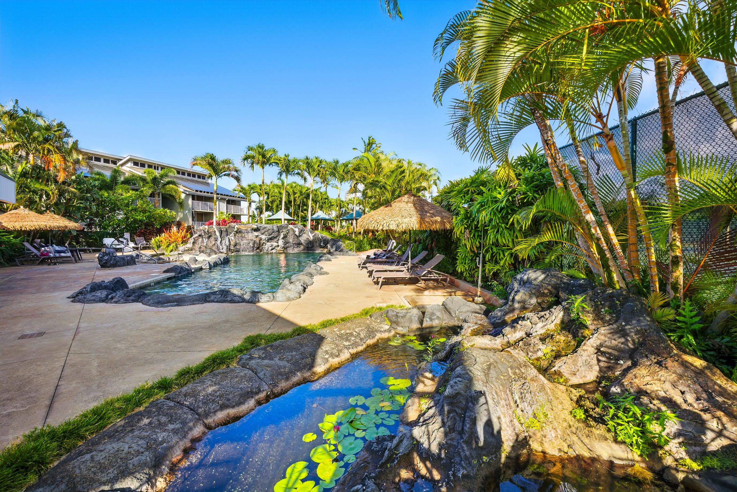 Romantic Island Condo *Jungle Views - Image 41