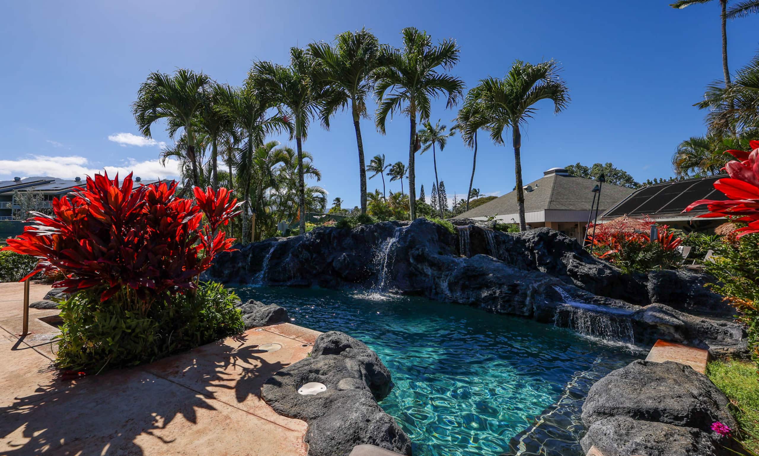 Romantic Island Condo *Jungle Views - Image 36