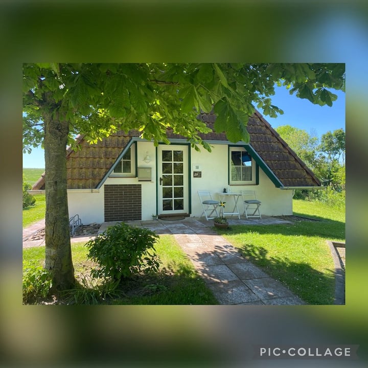 Nordsee: Gemütliches Ferienhaus Direkt Am Deich - Deutschland