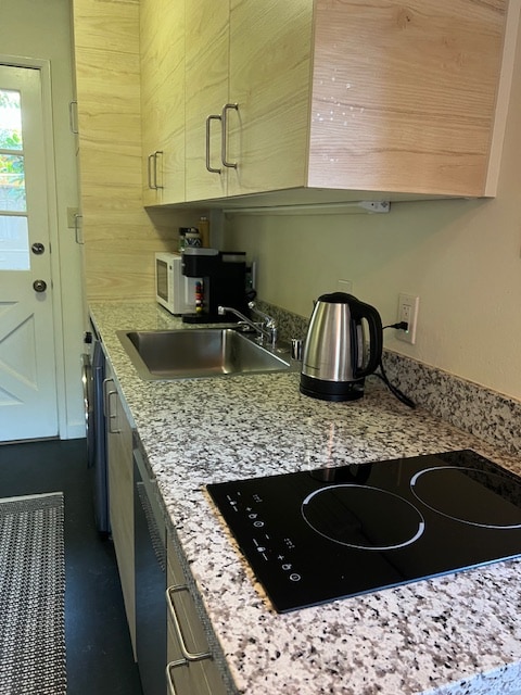 The kitchen area features a grey granite countertop paired with light wooden cabinetry. An induction stove top and sink are visibly located, alongside a microwave, coffee maker, and electric kettle. A door leads to the outside, enhancing accessibility.