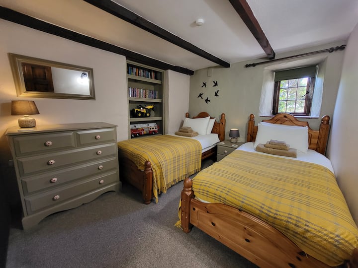 Twin bedroom downstairs  with 2 comfy beds for kids or singles