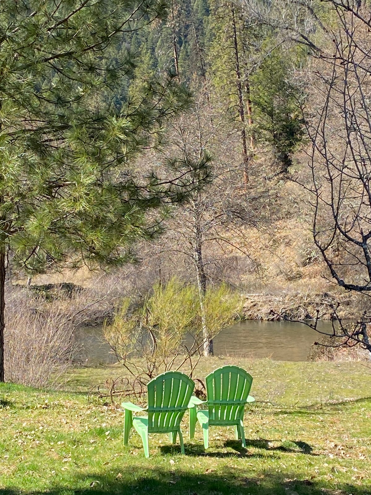 Two green Adirondack chairs are positioned on a grassy area near the Trinity River. Surrounding foliage includes pine trees and other vegetation, while a backdrop of hills is visible. The serene river reflects the natural landscape, creating a peaceful outdoor setting.