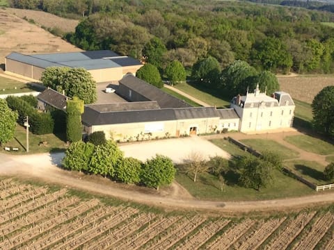The Vineyard of Château de l'Aulée, Gîte and Relaxation