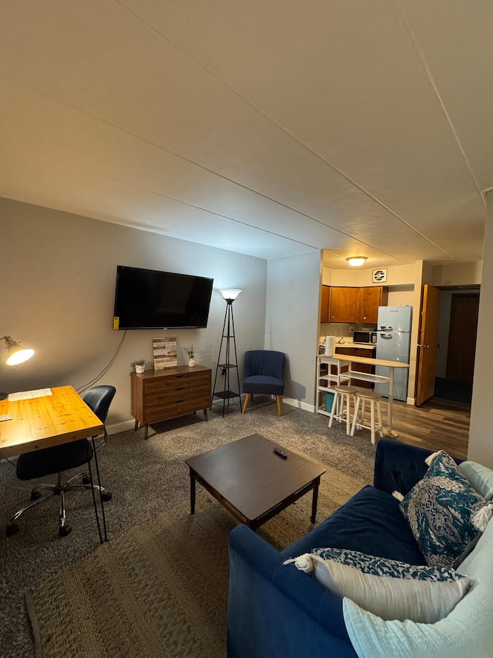 Furnished Studio Apartment - University Of Toledo - University of Toledo, Toledo