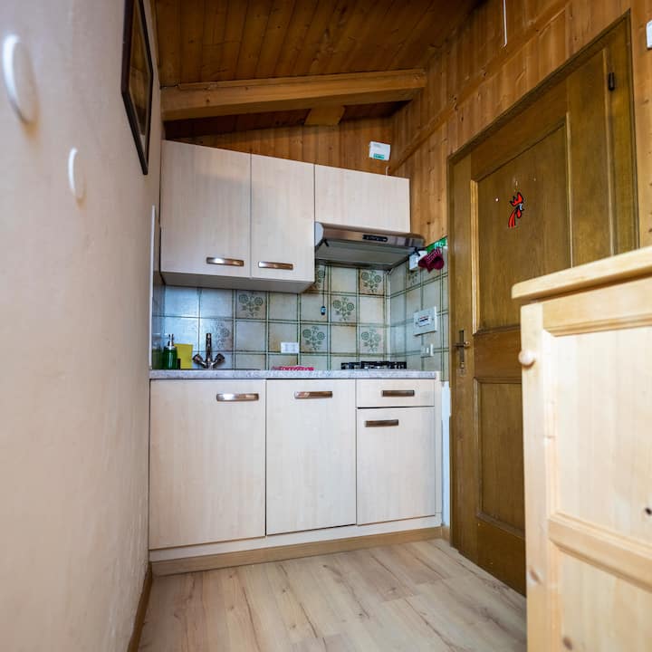 Lustige Hutte-apartment At 100 Mt. From Ski Slopes - San Vigilio