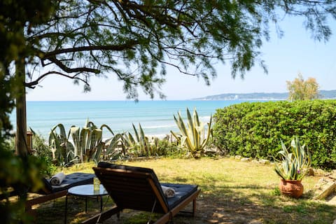 Salty Noses Beach House Paradise
