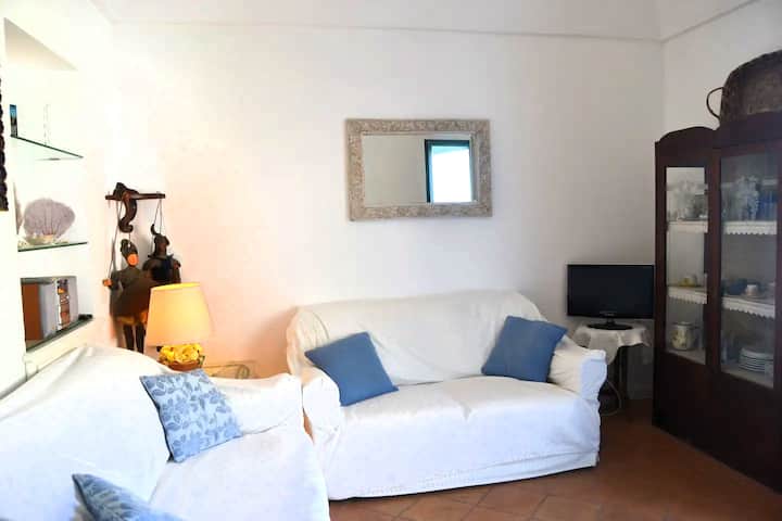 zona divani
