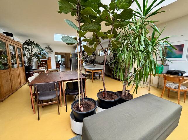 DePijp/ ground floor 250sqm House/garden + terrace gallery image 5