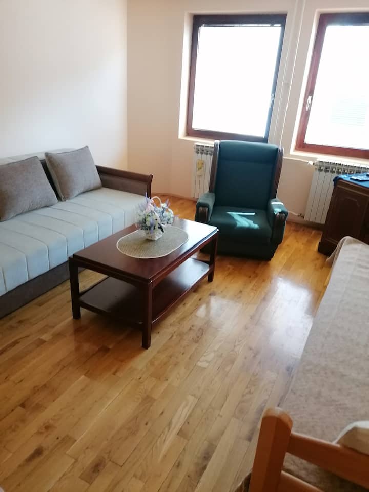 House For Rent In The City Center - Novi Sad