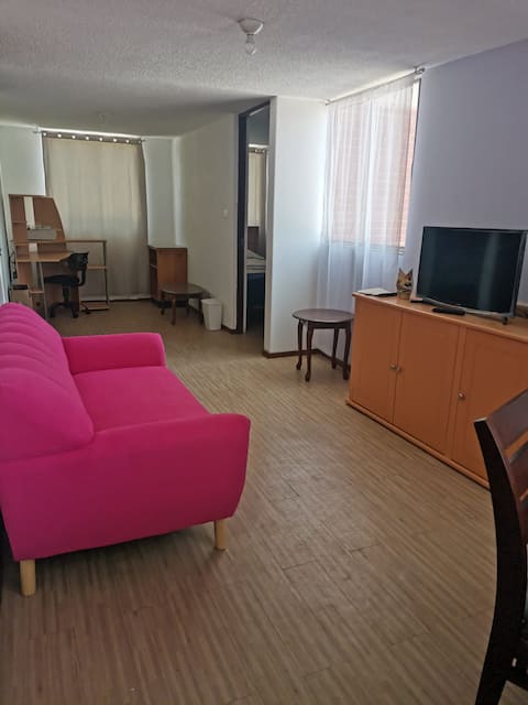 Top performing Airbnb: Very bright apartment, SOUTH CDMX in Calvario Camisetas