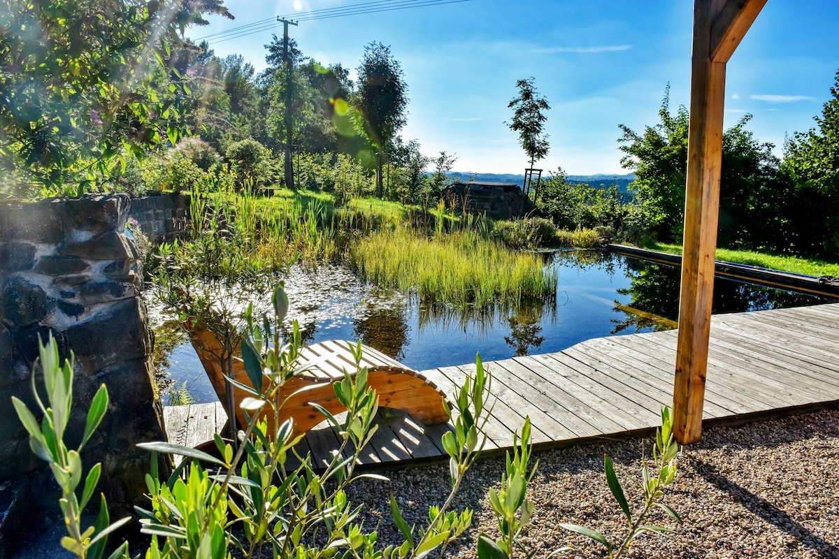 A natural swimming pond is surrounded by lush greenery, with tall grasses reflecting in the clear water. A wooden platform extends over the pond, creating a serene space for relaxation, while various shrubs and plants frame the area.