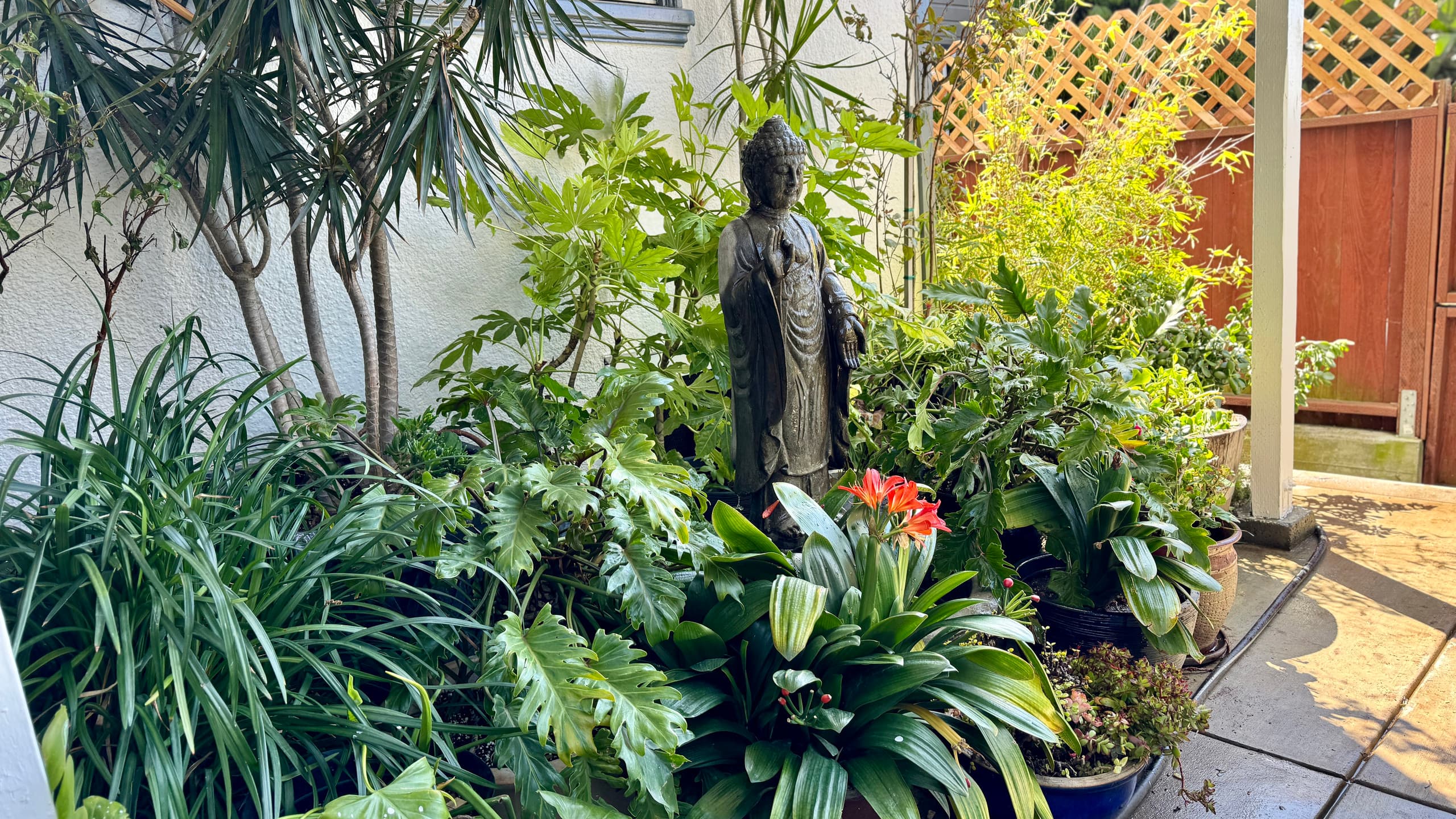 Home in San Francisco · ★4.9 · 3 bedrooms · 3 beds · 3 private baths - Image 50