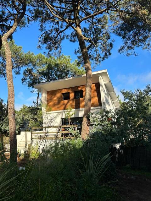 Estate with pool under the pine trees