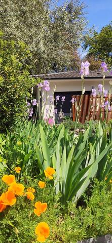 Villa de charme piscine au calme bordeaux bassin gallery image 2