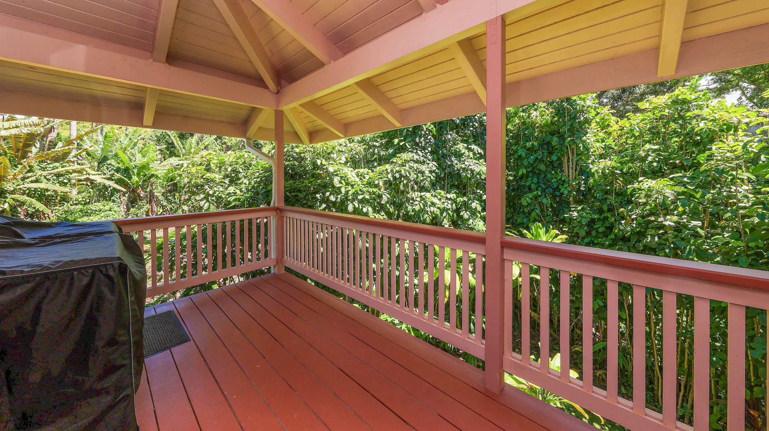 Home in Hanalei · ★5.0 · 2 bedrooms · 2 beds · 2 baths - Photo 46