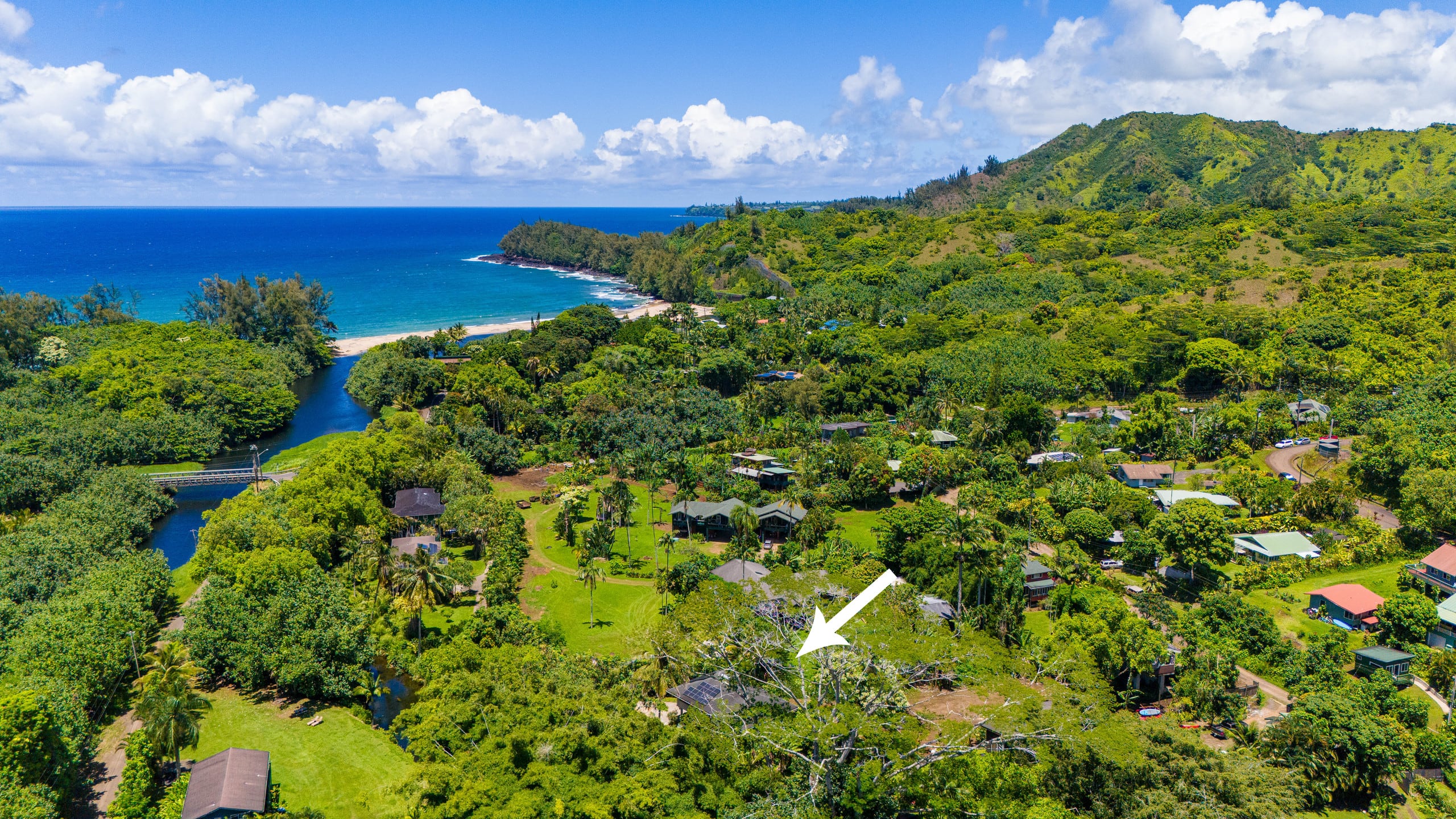 Home in Hanalei · ★5.0 · 2 bedrooms · 2 beds · 2 baths - Photo 61