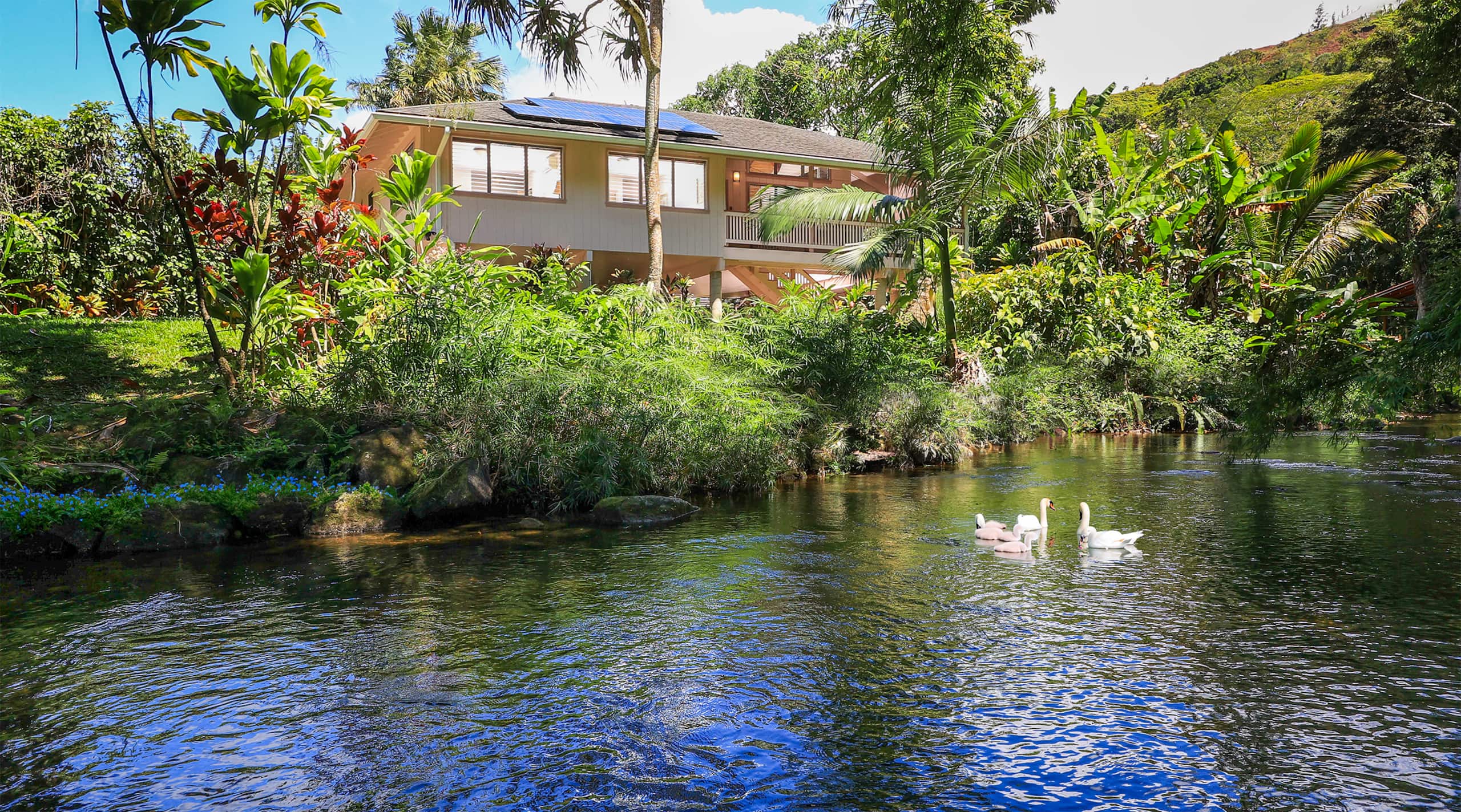 Home in Hanalei · ★5.0 · 2 bedrooms · 2 beds · 2 baths - Main photo