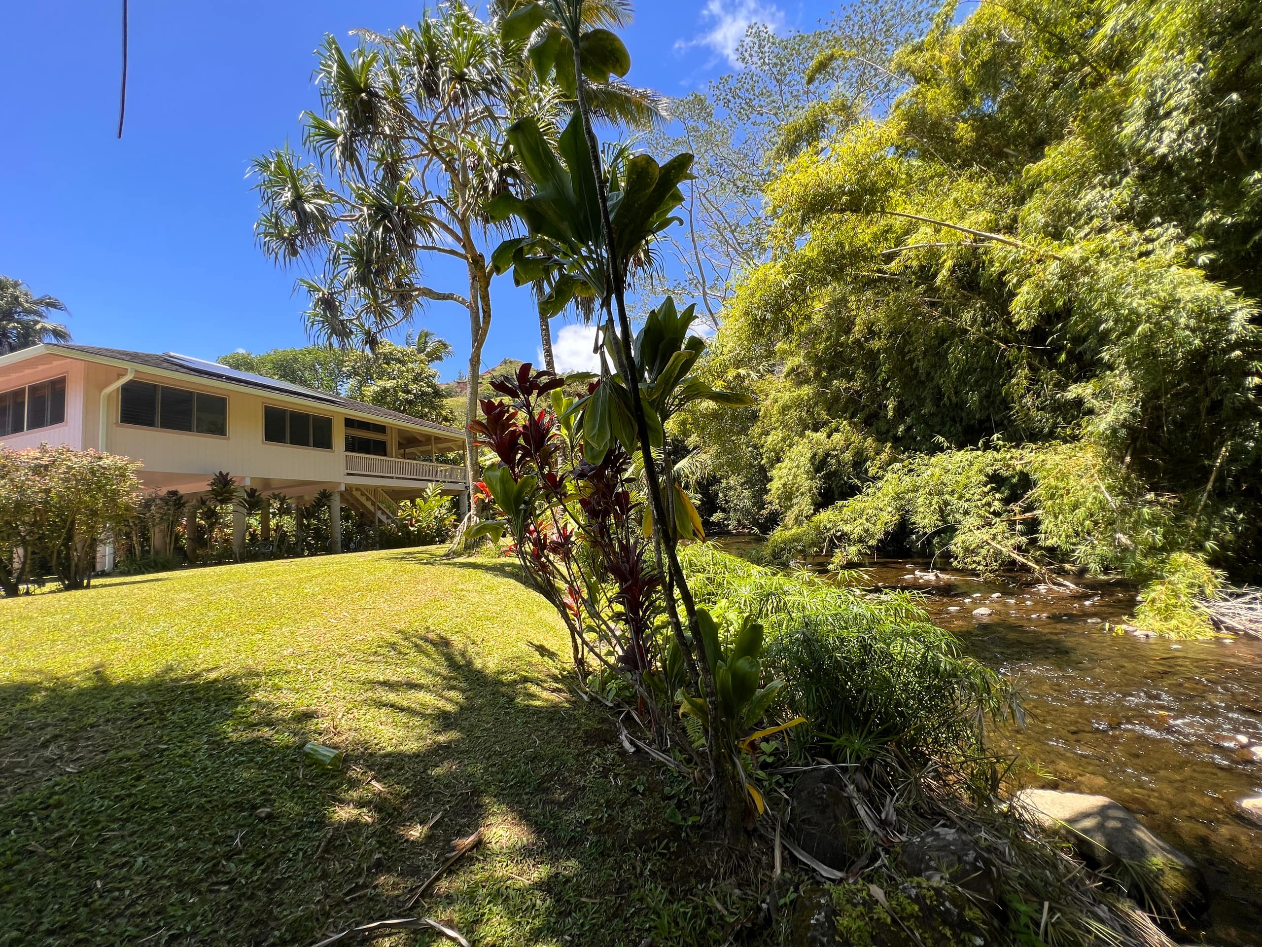 Home in Hanalei · ★5.0 · 2 bedrooms · 2 beds · 2 baths - Photo 60