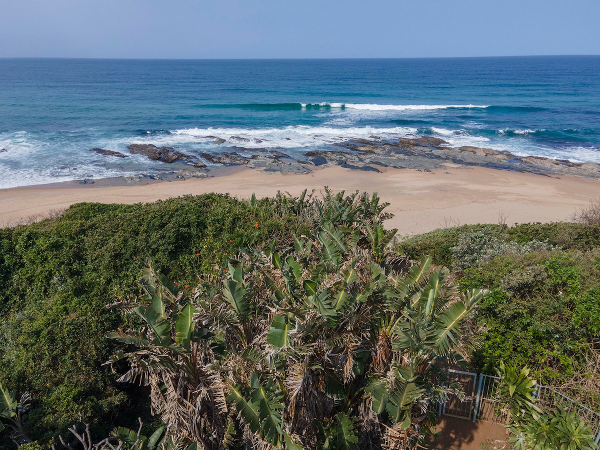 A serene coastal view captures the gentle waves of the ocean meeting the sandy beach. Lush greenery is prominently featured in the foreground, with the rocky shoreline visible in the distance, integrating natural elements with the expansive sea.