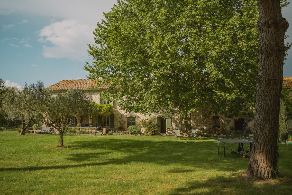 A spacious outdoor area is surrounded by lush greenery, with a large tree providing shade. The traditional stone house features multiple windows and doors, harmonizing with the natural landscape. Sunlight filters through the leaves, creating soft patterns on the well-maintained lawn.