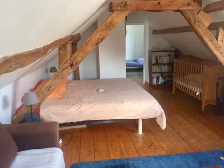 Habitación 1