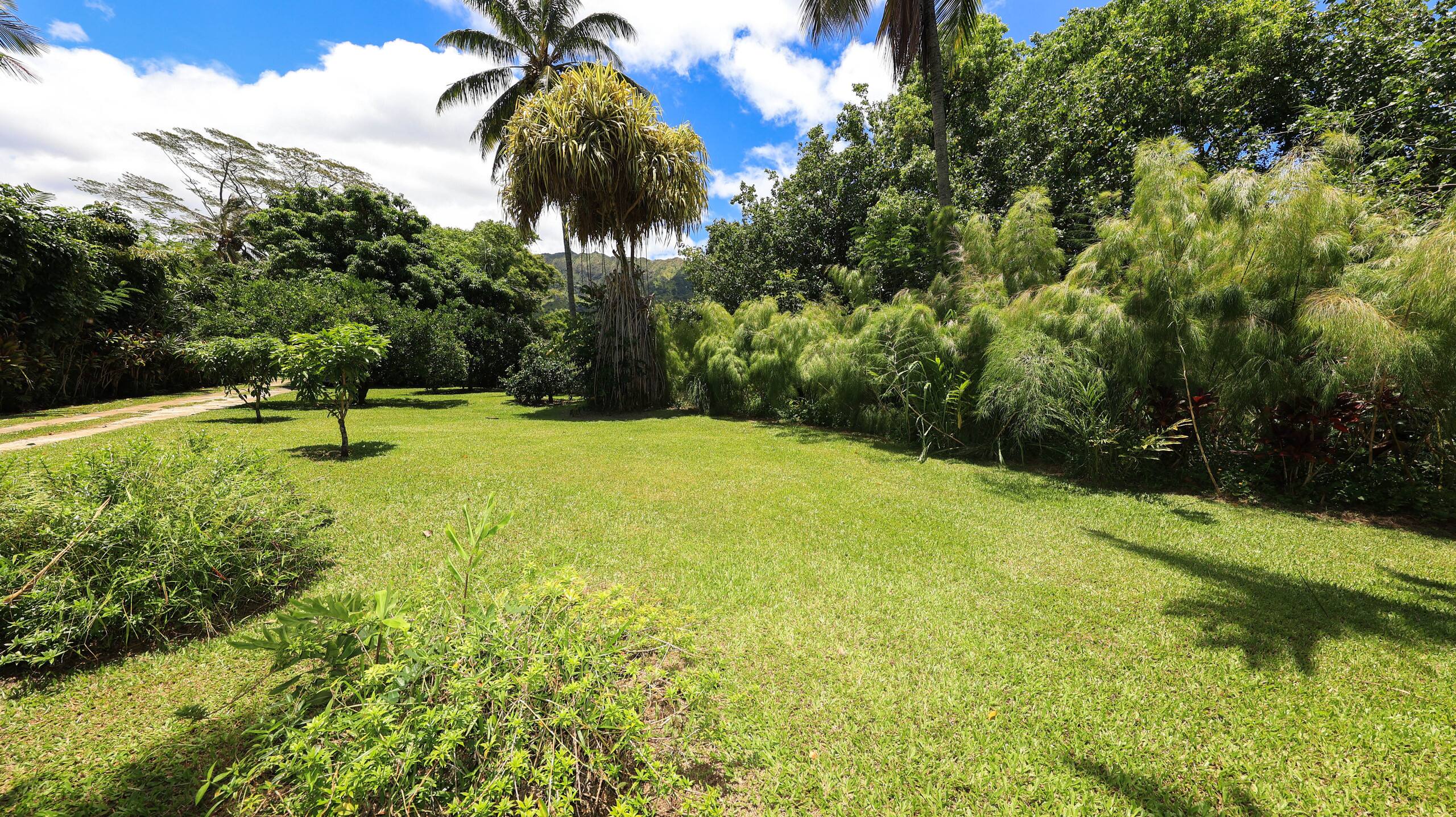 Home in Hanalei · ★4.33 · 3 bedrooms · 3 beds · 2 baths - Image 42