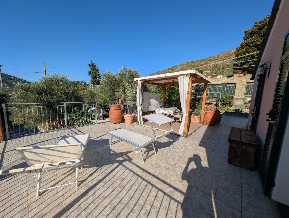 An outdoor terrace is featured, with a wooden pergola providing shade. Several lounging chairs are arranged around a table, surrounded by potted plants and olive trees. The clear blue sky is visible above, and the surrounding landscape includes hillside views.
