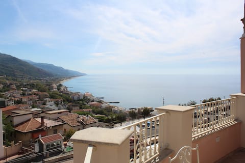 A new spectacle of nature (The Suite)