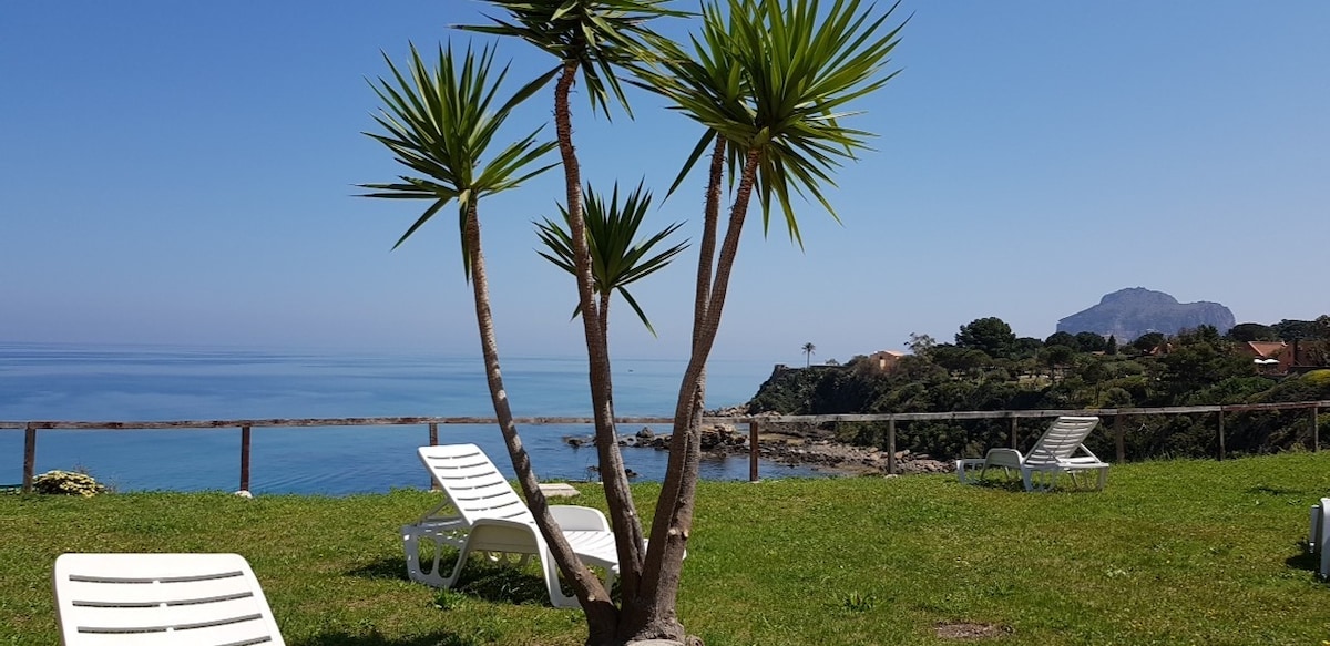 A serene outdoor space features several lounge chairs arranged on lush green grass, framed by a palm tree. The shoreline and calm blue water stretch into the distance, with a slight rise visible along the coast under a clear sky.