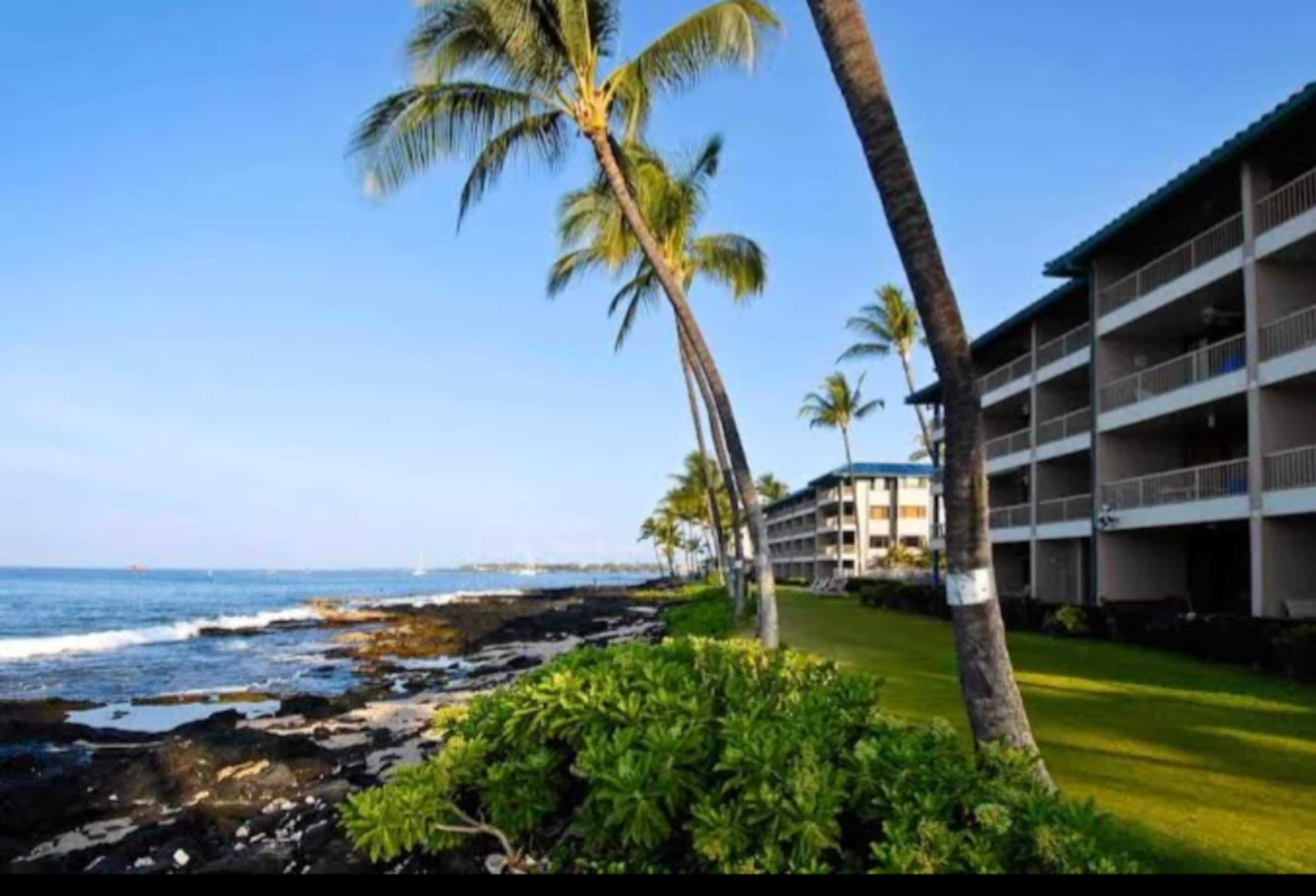 Condo in Kailua-Kona · ★4.88 · 1 bedroom · 2 beds · 1 private bath - Image 3