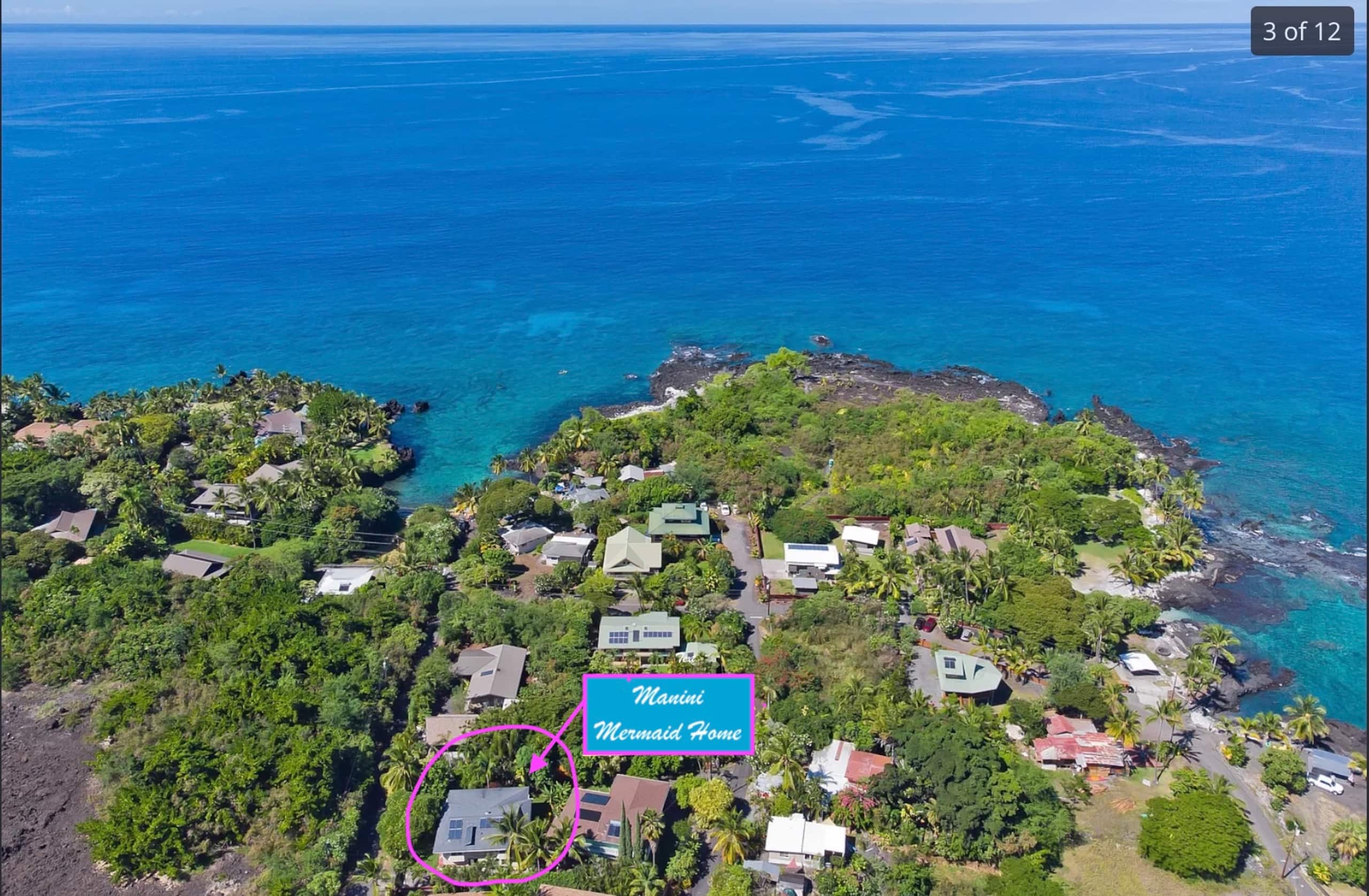 Manini Mermaid Paradise at Kealakekua Bay - Photo 18