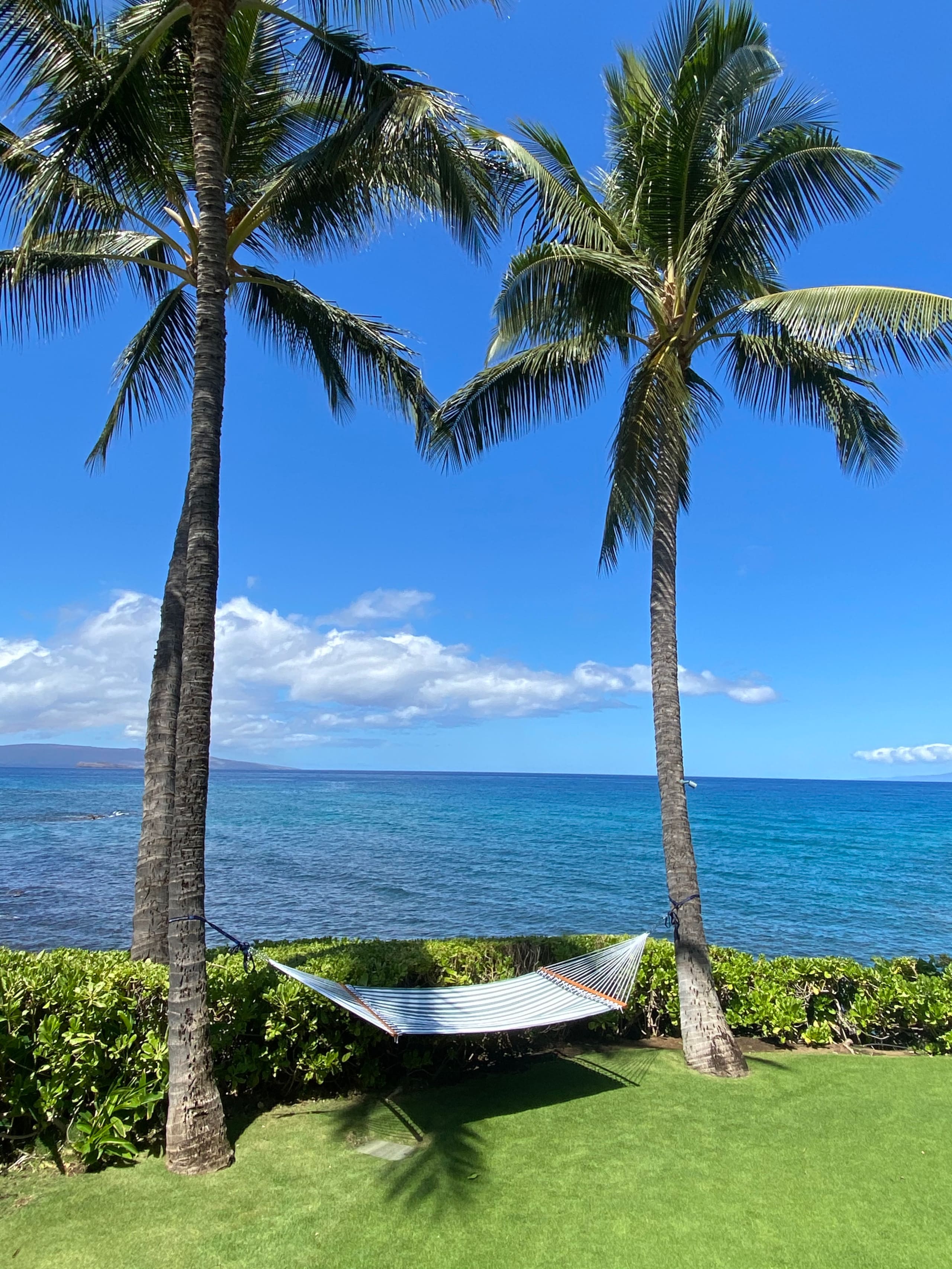 Home in Kihei · ★4.67 · 4 bedrooms · 4 beds · 4 baths - Image 51