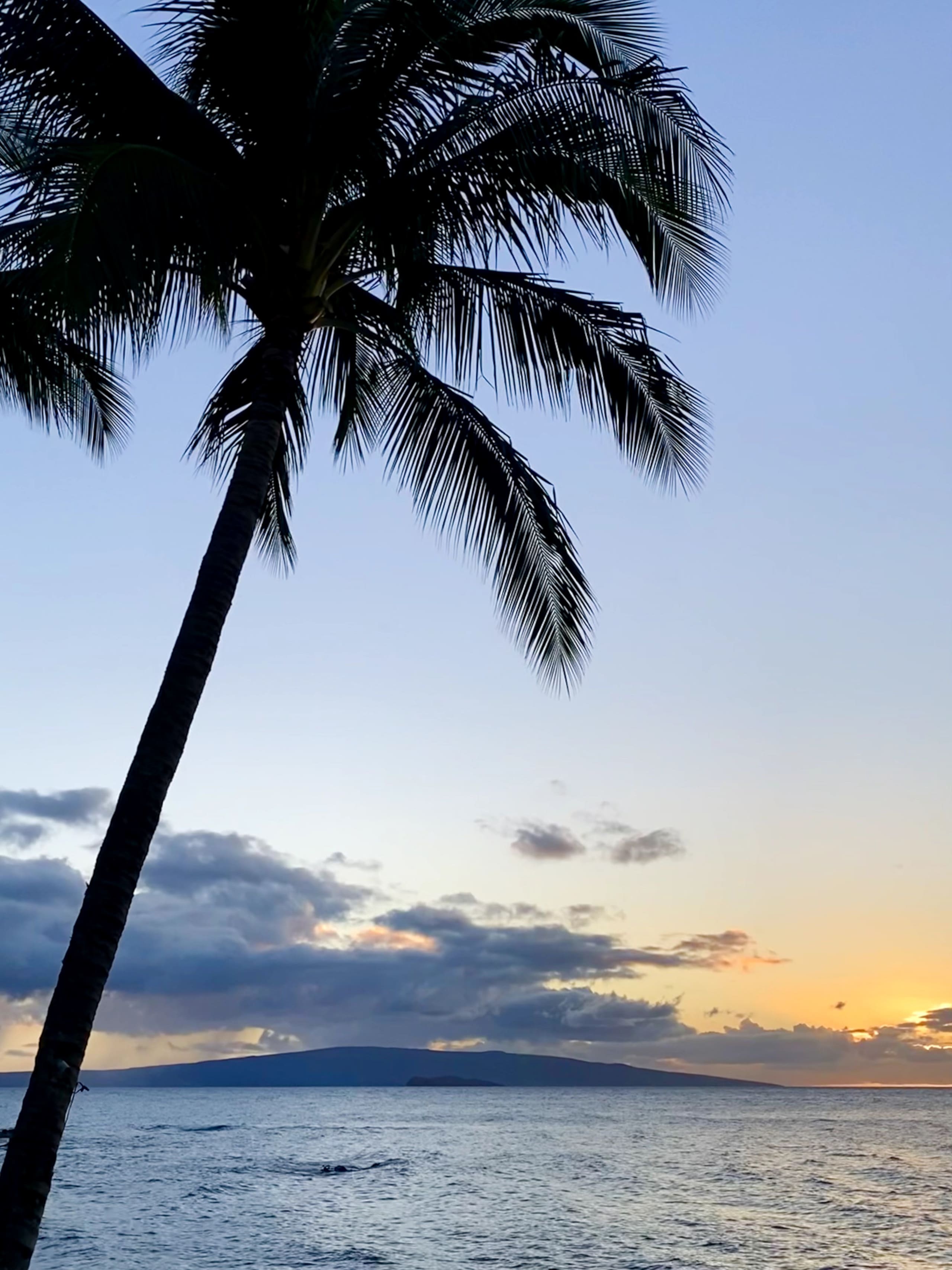 Home in Kihei · ★4.67 · 4 bedrooms · 4 beds · 4 baths - Image 52