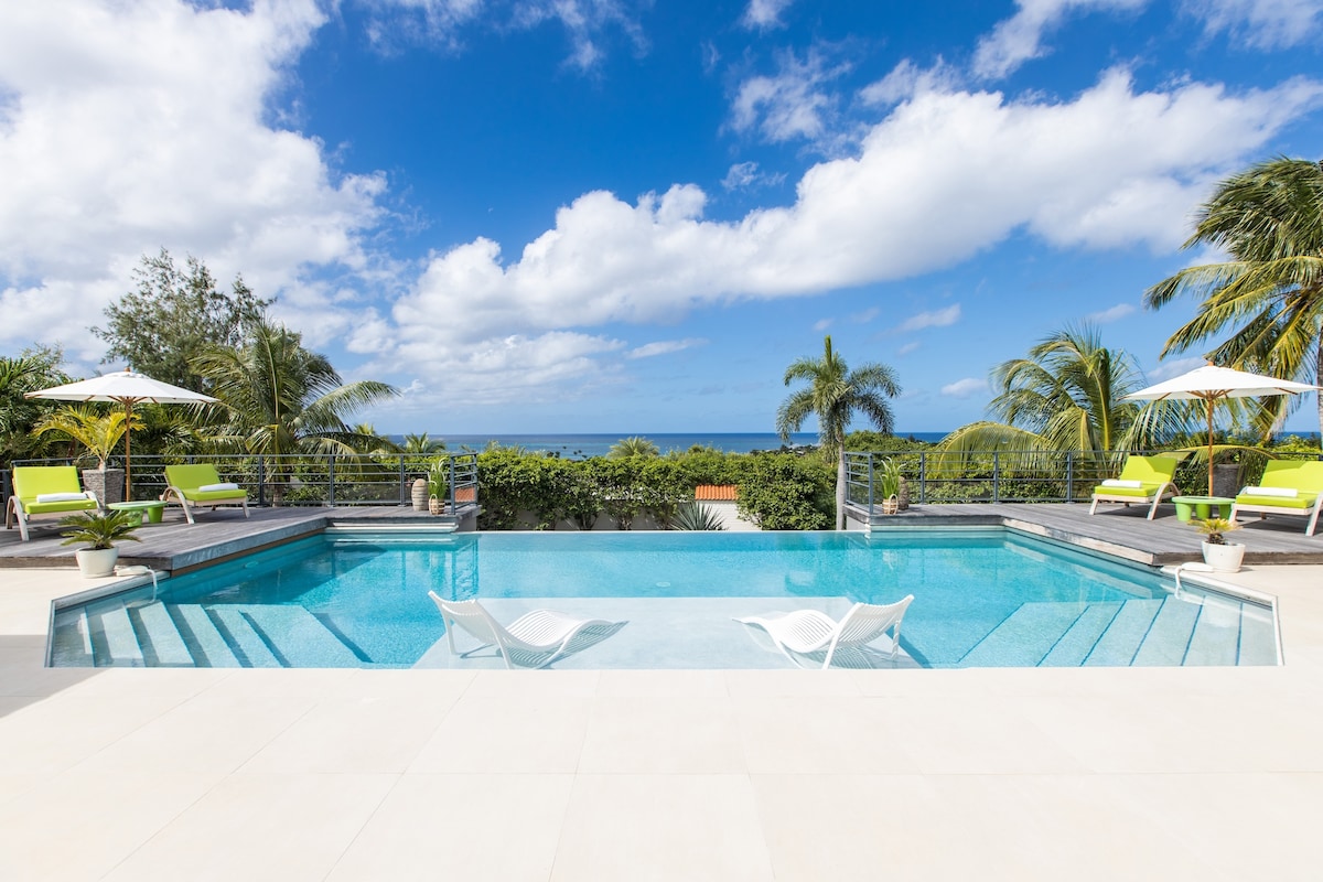 An inviting pool area is framed by lush palm trees and vibrant green loungers. The crystal-clear water reflects the bright blue sky dotted with fluffy clouds. A panoramic view of the ocean is visible beyond the infinity edge of the pool.