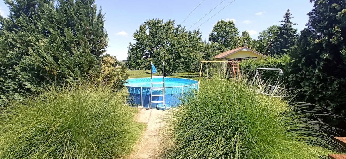 A round pool with a ladder is surrounded by vibrant greenery, creating a private outdoor space. Tall grass frames the pool area, with trees and a swing set visible in the background. A clear sky enhances the serene setting.