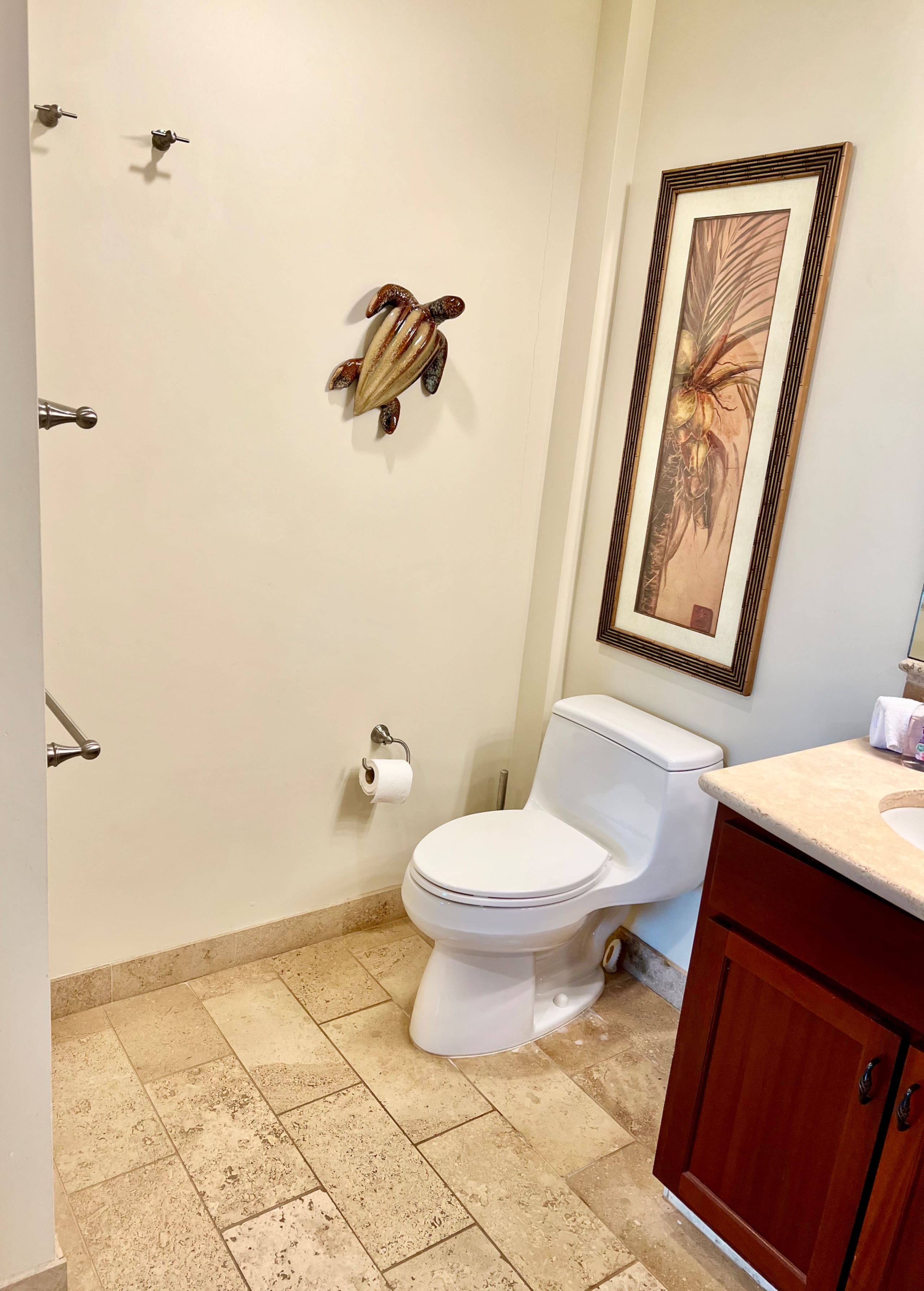 Kauai Paradise-3 hot-tubs-2Waterslides-2bdrm-3bath - Photo 26