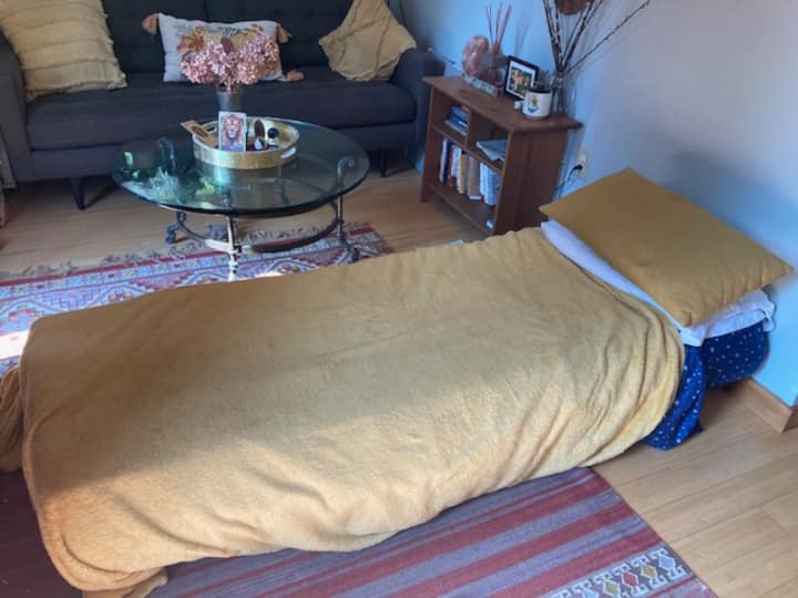 الكرسي يفتح إلى سرير واحد.

