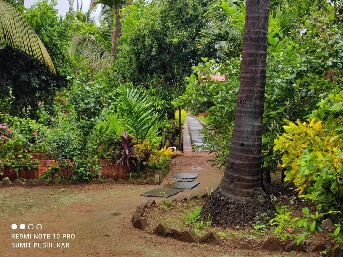 A lush garden area is depicted, featuring an array of greenery including palm trees and flowering plants. A pathway meanders through the foliage, inviting exploration. The surrounding tropical plants create a serene and tranquil atmosphere, suitable for relaxation.