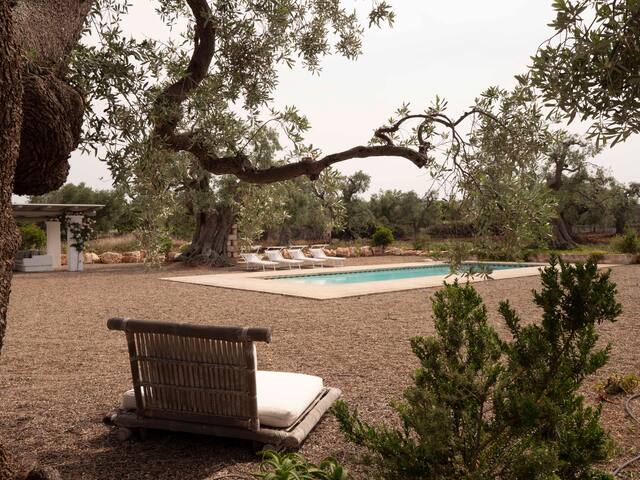 LAMIOLA PARCO PAOLINO