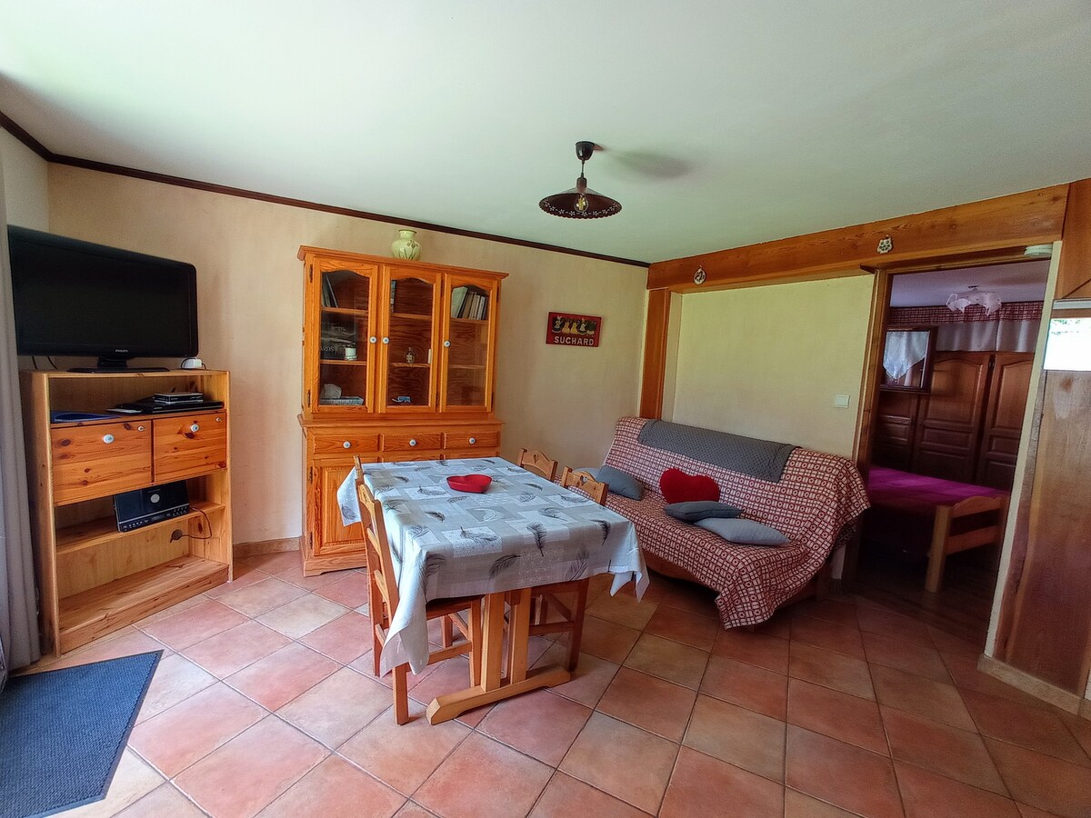 A spacious living area features wooden furniture, including a dining table surrounded by chairs and a wooden cabinet. A flat-screen TV is positioned on a stand. A sofa bed with decorative pillows is present, providing additional seating. Natural light is filtered through the room.