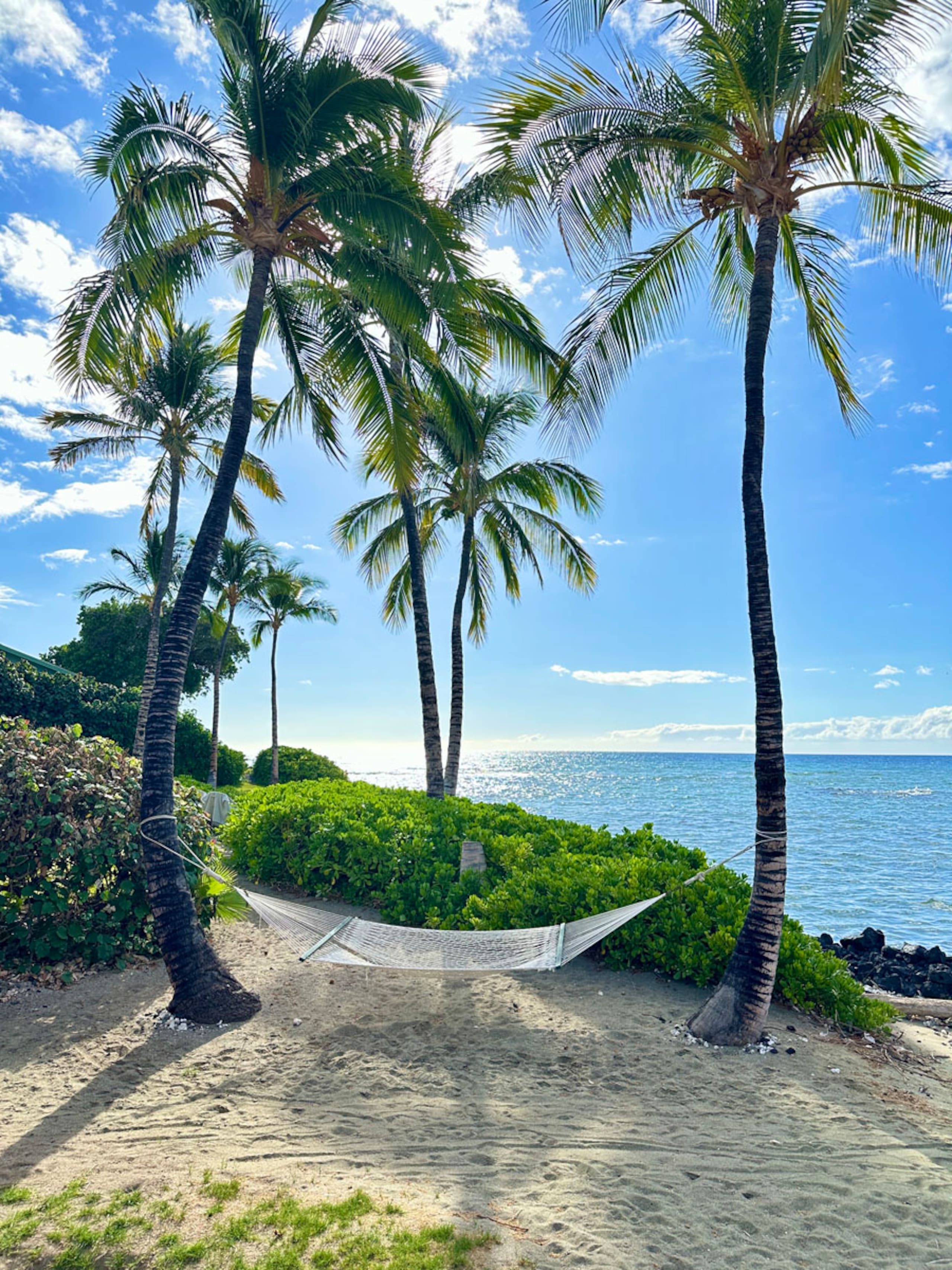 Villa in Waimea · ★4.95 · 4 bedrooms · 5 beds · 4 baths - Image 38