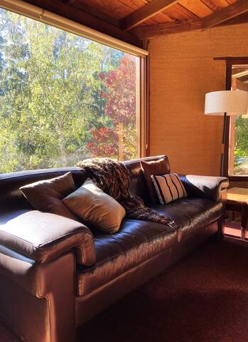 Eucalyptus House gallery image 4