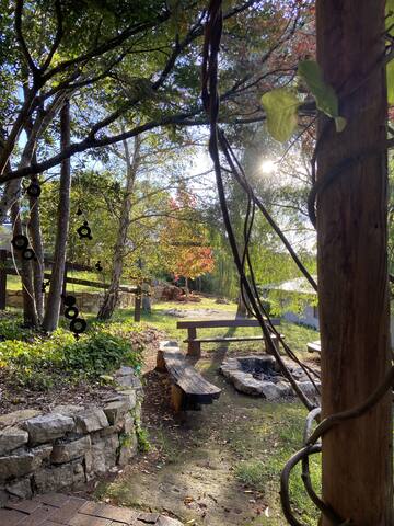 Eucalyptus House gallery image 2