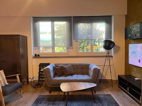 Top performing Airbnb: 2.5 - Tres beau Grand Studio 4* (43m2) in Champel