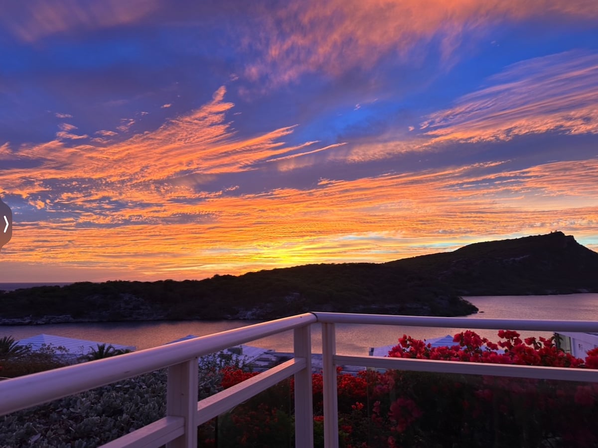 A captivating sunset is displayed over the bay, with vibrant colors of orange, pink, and purple streaking across the sky. The view is framed by a white railing, while lush greenery and blooming flowers are visible in the foreground, enhancing the natural beauty of the scene.
