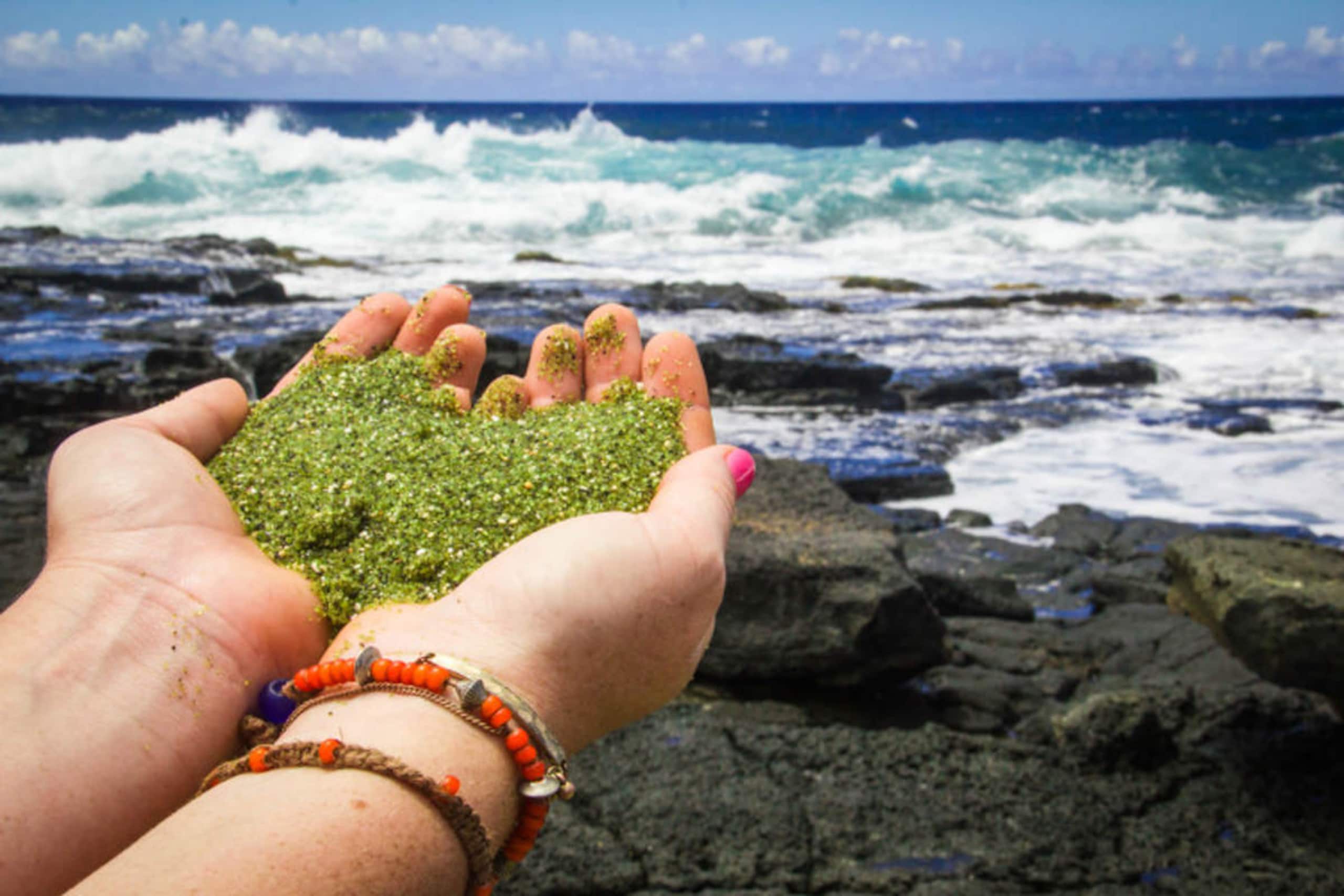 Nature Oasis, Ponds, Gardens, Green Sands Beach - Photo 32