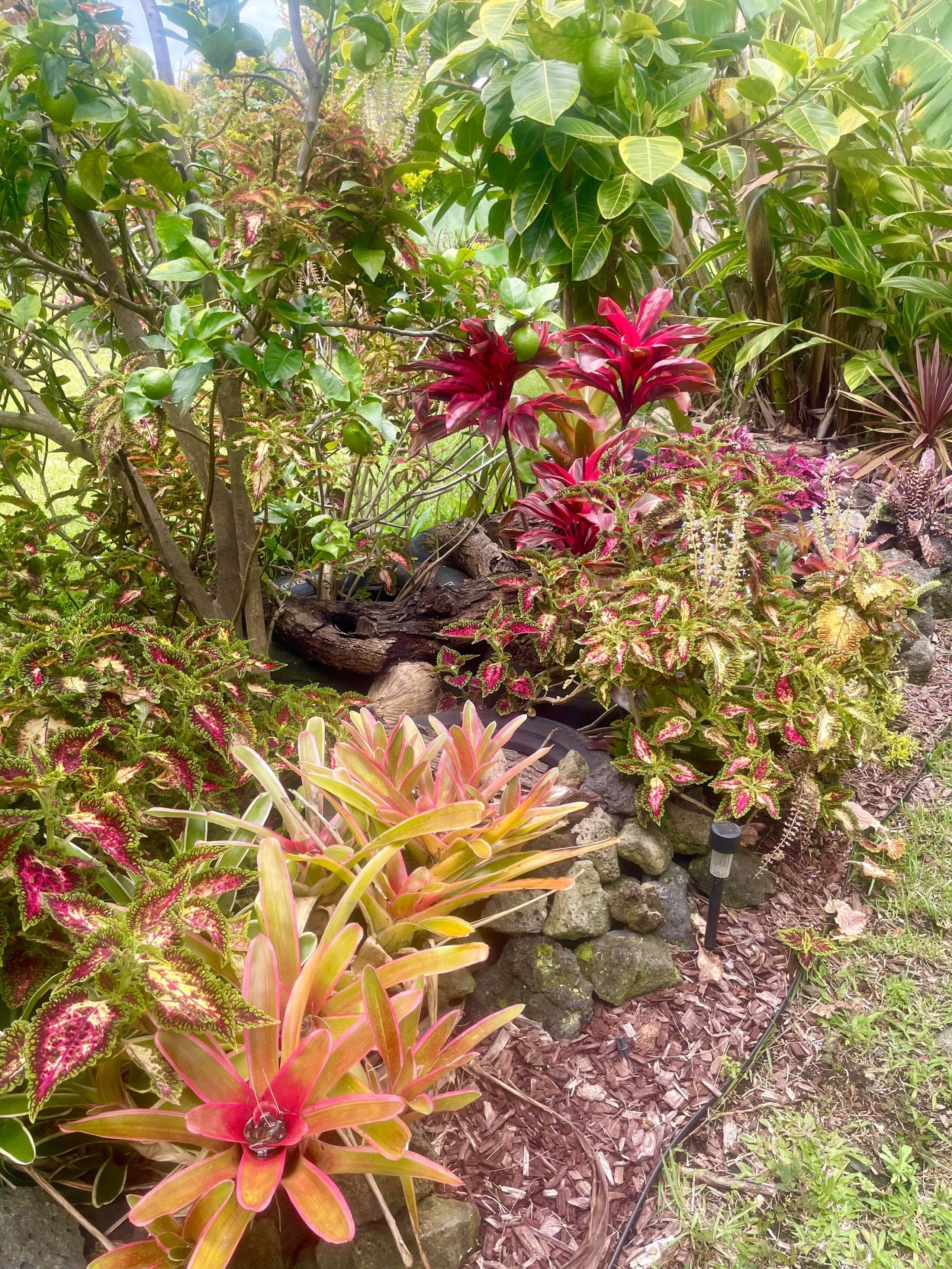 Nature Oasis, Ponds, Gardens, Green Sands Beach - Photo 20
